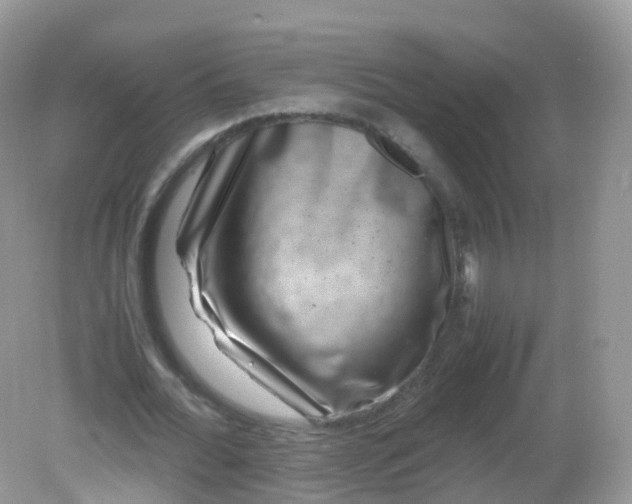 X0000081410676200701261824