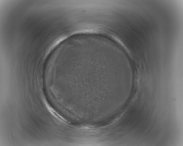 X0000081410677200701261824