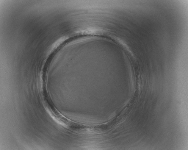 X0000081410678200701261824