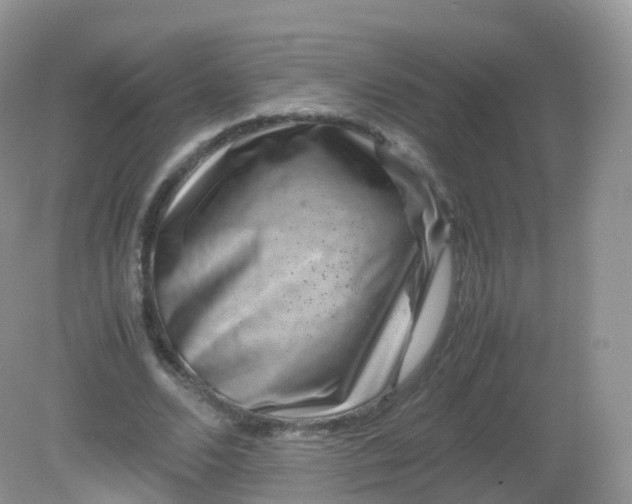 X0000081410680200701261824