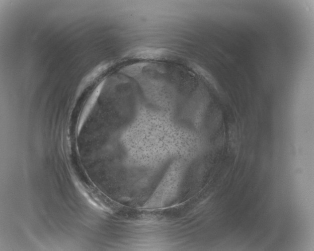 X0000081410682200701261824