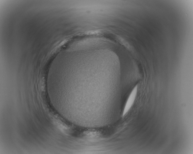 X0000081410689200701261824