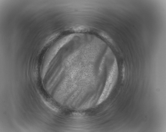 X0000081410690200701261824