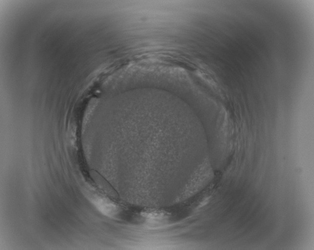 X0000081410693200701261824