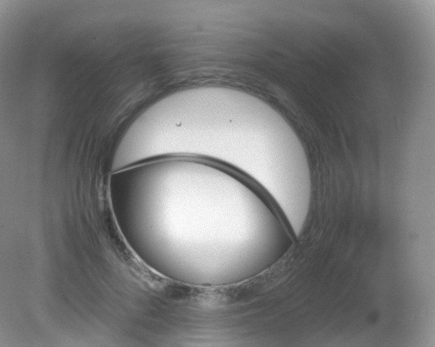 X0000081410696200701261824