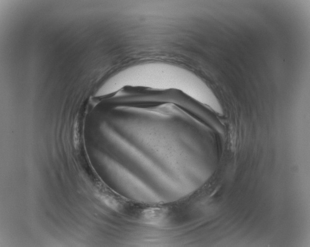 X0000081410700200701261824