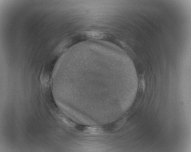 X0000081410713200701261824