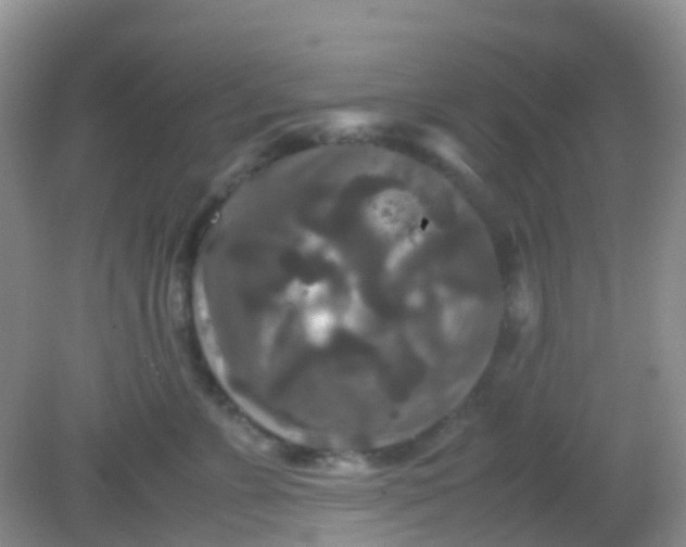 X0000081410715200701261824