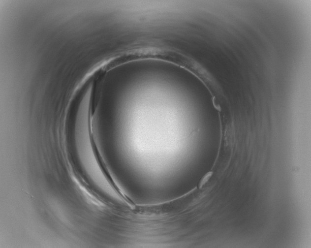 X0000081410722200701261823