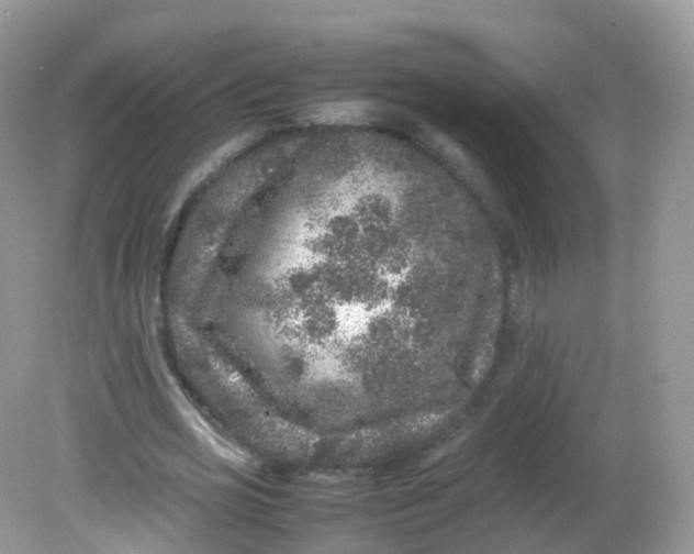 X0000081410725200701261823