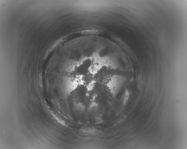 X0000081410729200701261823