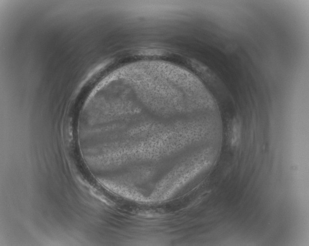 X0000081410731200701261823