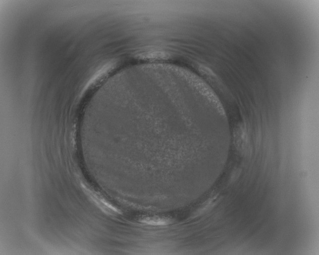 X0000081410735200701261823