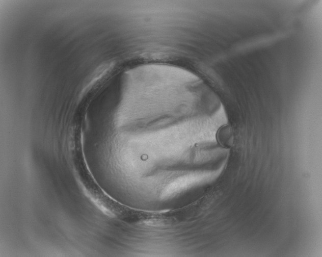 X0000081410738200701261823
