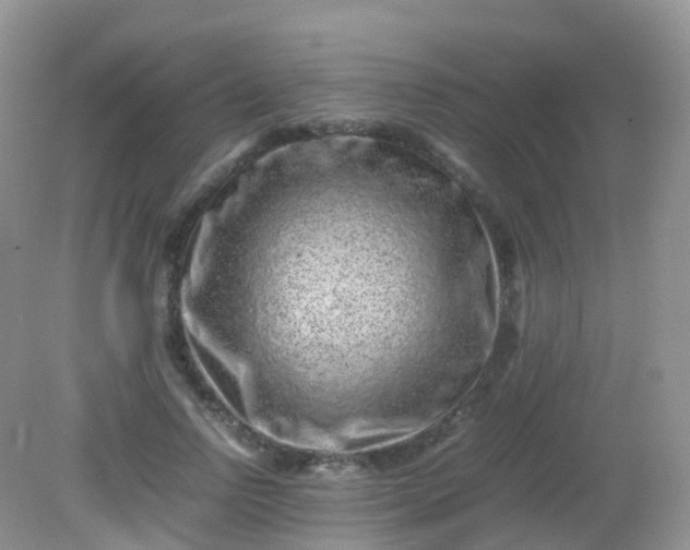 X0000081410742200701261823