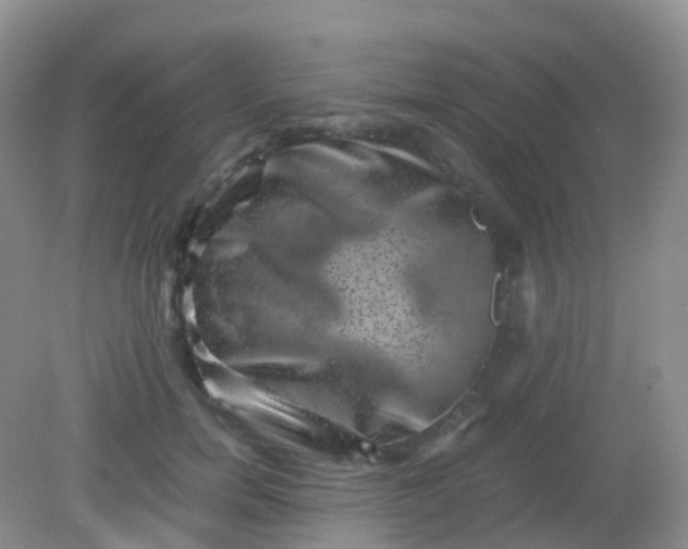 X0000081410750200701261823