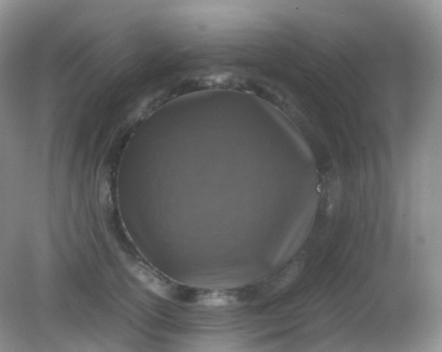 X0000081410754200701261823