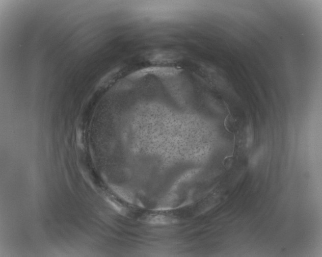 X0000081410755200701261823