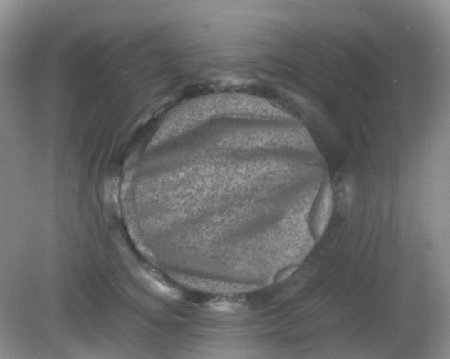 X0000081410756200701261823