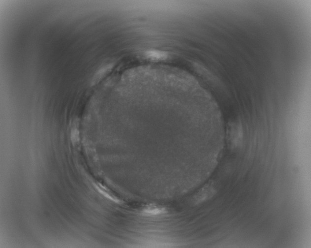 X0000081410760200701261823