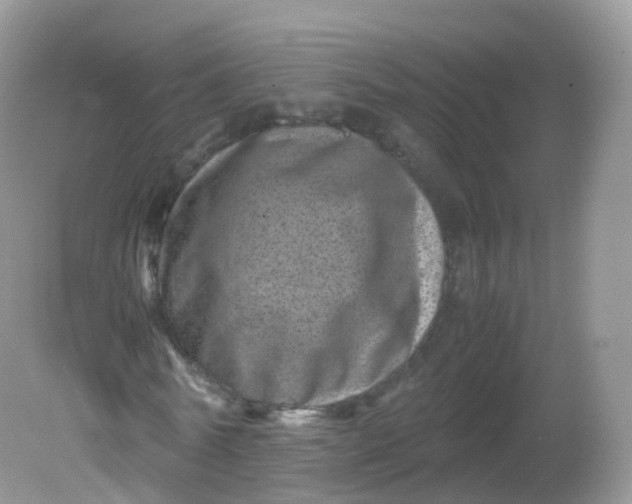 X0000081410770200701261823