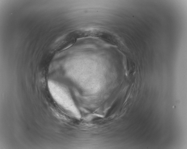 X0000081410771200701261823