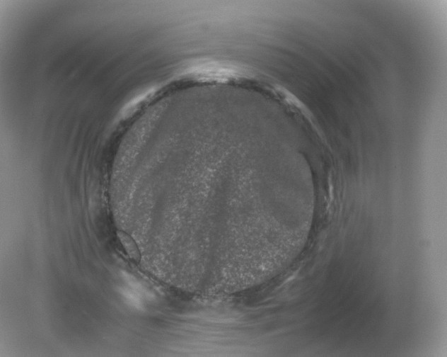 X0000081410775200701261823