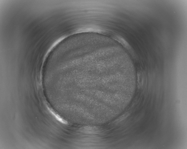 X0000081410780200701261823