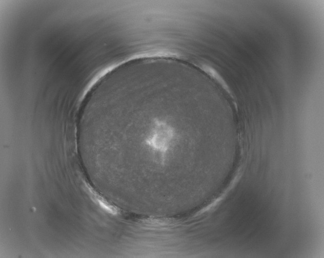 X0000081410781200701261823