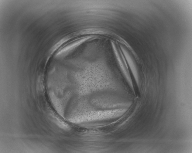 X0000081410786200701261822