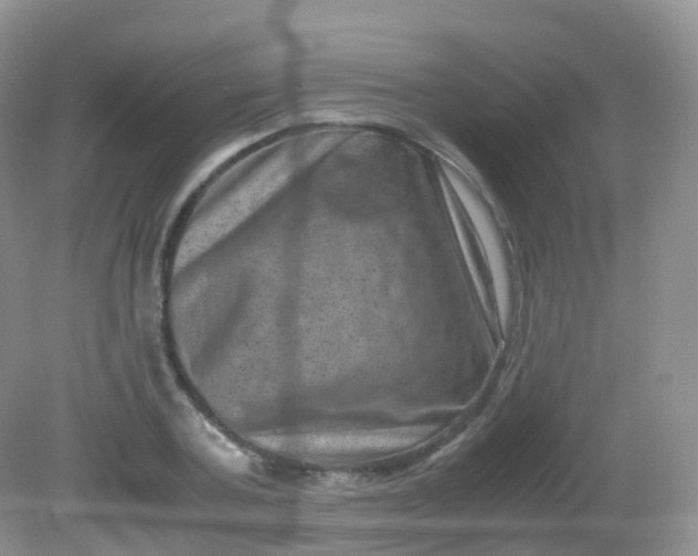X0000081410787200701261822