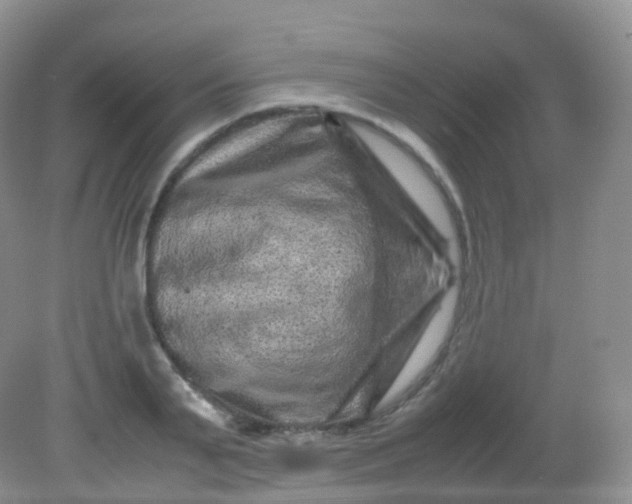 X0000081410791200701261822