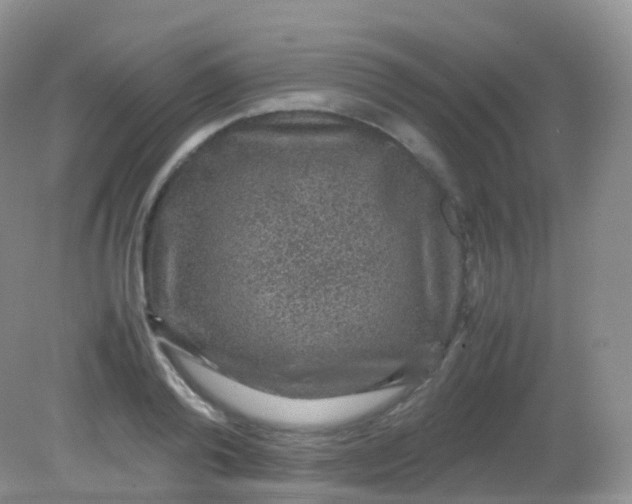 X0000081410792200701261822