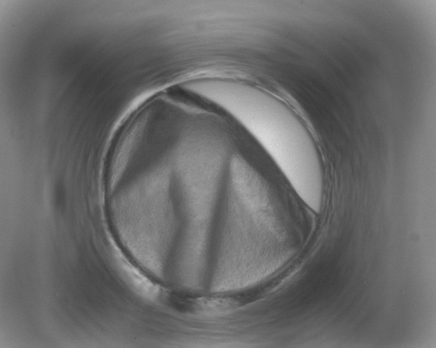X0000081410795200701261822