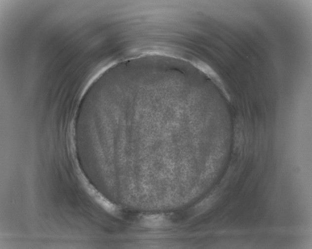 X0000081410798200701261822