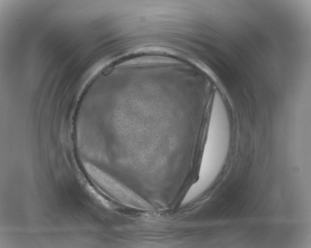 X0000081410799200701261822