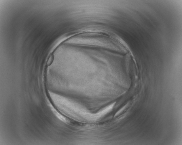 X0000081410803200701261822