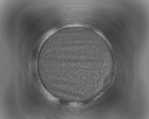 X0000081410805200701261822