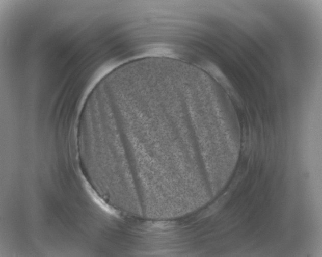 X0000081410808200701261822