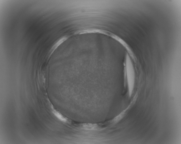 X0000081410809200701261822