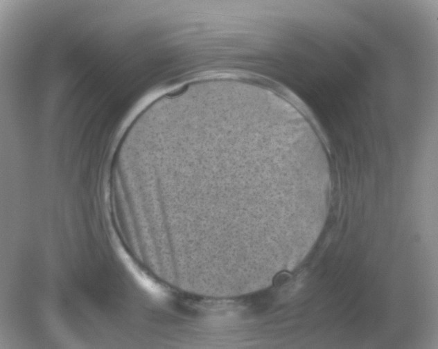 X0000081410811200701261822