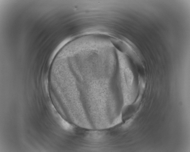 X0000081410812200701261822