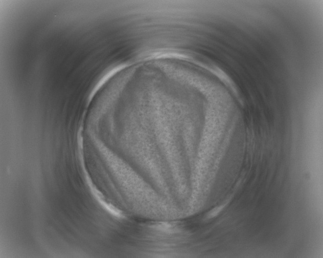 X0000081410814200701261822
