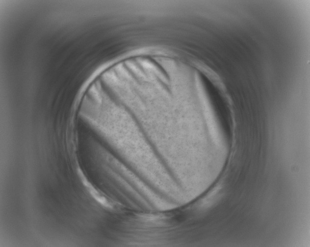 X0000081410816200701261822