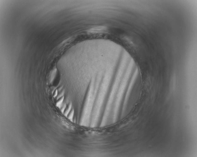 X0000081410821200701261821