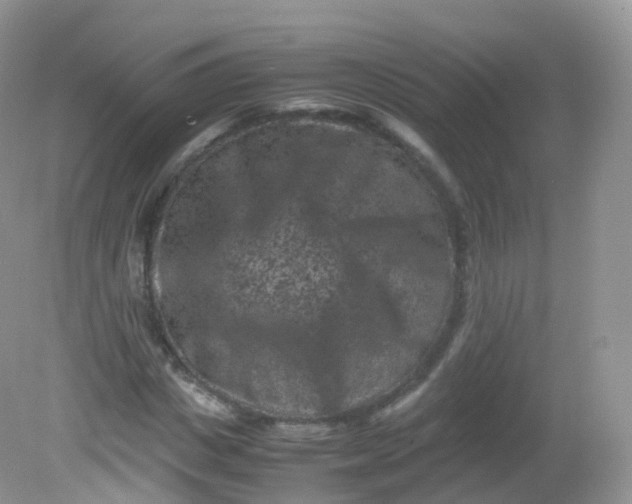 X0000081410825200701261821