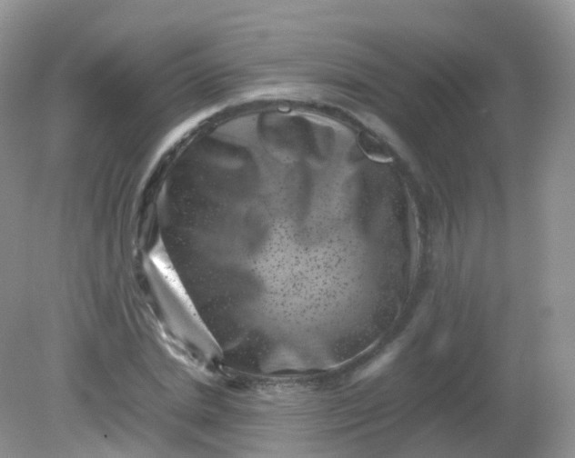 X0000081410830200701261821