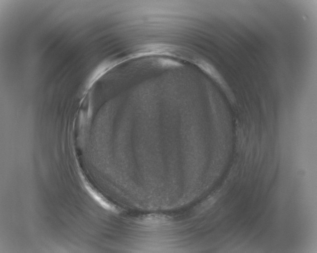 X0000081410842200701261822
