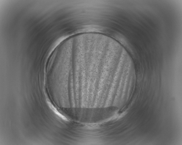 X0000081410844200701261822