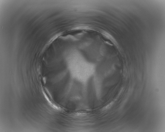 X0000081410849200701261822